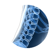 Spine X-Ray